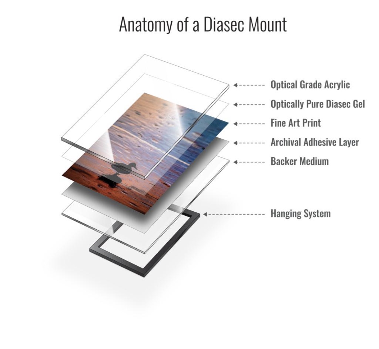 Anatomy of a Diasec® mount (illustration)