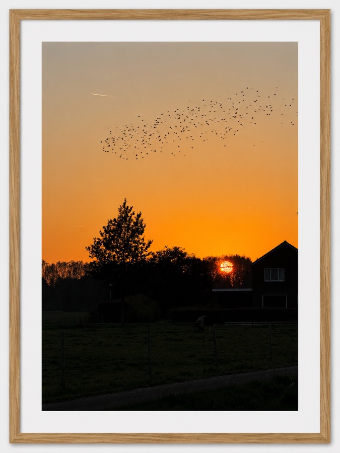 Sunset in Arnhem — fine art photography print by Giulianna Boscardin