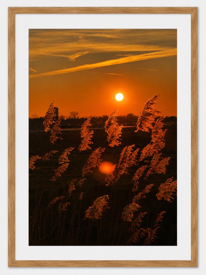 Sunset in Amersfoort — fine art photography print by Giulianna Boscardin